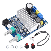 Carte d'amplification numérique TPA3116 pour subwoofer, carte d'amplificateur numérique TPA3116 DC12-24V 100W haute puissance, carte d'amplificateur numérique mono pour basses