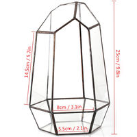 Terrarium géométrique en verre extra large de 16 pouces, boîte pour reptiles, vase pour plantes succulentes