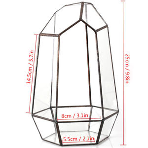 <span class=keywords><strong>Terrarium</strong></span> géométrique <span class=keywords><strong>en</strong></span> <span class=keywords><strong>verre</strong></span> extra large de 16 pouces, boîte <span class=keywords><strong>pour</strong></span> reptiles, <span class=keywords><strong>vase</strong></span> <span class=keywords><strong>pour</strong></span> plantes succulentes - Product Image 1