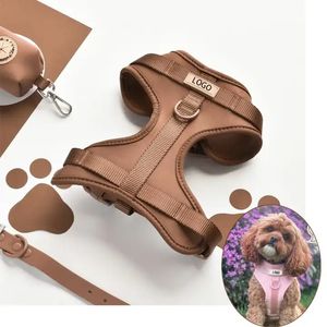 SinSky-Arnés de neopreno para perros, juego de correas de PVC con capa de aire acolchada ajustable, ligero y personalizado - Product Image 2