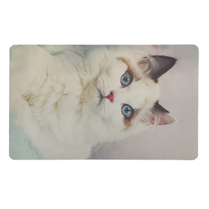 Custom Photo Super Absorbent Quick-Drying Non-Slip Bath <strong>Mat</strong> for Bathroom Floor <strong>Mat</strong> - Product Image 1