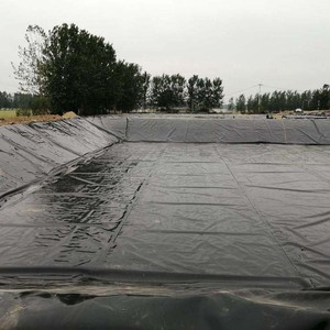 Giá bán buôn <span class=keywords><strong>geomembrane</strong></span> nhà máy sản xuất Geo màng <span class=keywords><strong>HDPE</strong></span> tờ cho Cá Rô Phi Hồ Bơi Lót inground Chất lượng cao - Product Image 4