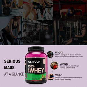 Suplemen Nutrisi Olahraga Creatine Whey Protein Bubuk OEM untuk Dewasa, Meningkatkan Kepadatan Tulang, Peningkatan Berat Badan, dan Peningkatan Massa Otot - Product Image 2