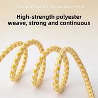 Laisse pour chien en nylon tressé en gros, laisse d'entraînement tout-en-un avec collier coulissant, corde à boucle réglable pour petits et moyens chiens, personnalisable OEM