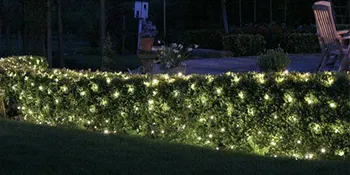 Oferta especial Twinkle Star 8 modos luces de red impermeables para árbol patio fiesta Patio decoración de Navidad