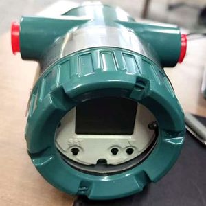 Transmetteur industriel YTA610 à double entrée de température 4-20mA HART avec écran LCD à montage sur site IP67 NEMA4X - Product Image 2