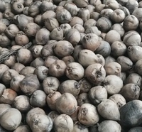 Éplucheur de noix de coco avancé Machine à éplucher la peau de noix de coco à haute efficacité pour un usage commercial et industriel