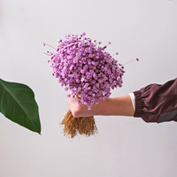 Fleurs séchées naturelles en gros, mini fleurs étoiles brésiliennes préservées pour arrangements floraux de mariage et décoration intérieure