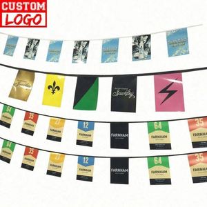 Decorative Flags 10Meters Polyester Flag Buntings for Events - Product Image 1