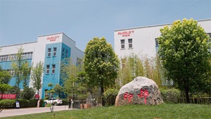 Stampante UV Flatbed 9060 a Prezzo di Fabbrica Cinese per Piccole Imprese, Macchina da Stampa UV LED Multifunzione, Stampante Digitale - Product Image 6