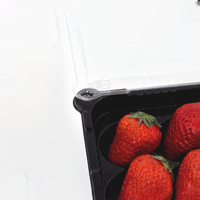Boîtes d'emballage pour fraises en plastique PET avec séparateurs et mousse