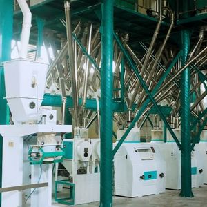 Máquina automática de harina de trigo, molino de harina de panadería, juego completo - Product Image 4