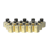 Connecteur rapide GripSeal G15 personnalisé en usine pour test de fuite, pour tube de refroidissement d'unité de commande moteur automobile et pompe à carburant, en acier inoxydable 316
