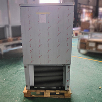 Aumesch Congélateur à pression enfichable à 10 plateaux-40 °C Congélation rapide Dégivrage automatique pour cuisine commerciale à tension 3P 220V 60Hz