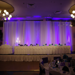 Soporte de Fondo para Bodas Resistente, Postes de Aluminio Ajustables, Tubo y Cortina - Product Image 1