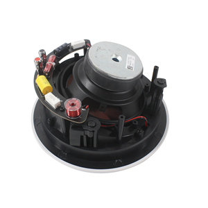 <span class=keywords><strong>6</strong></span> pulgadas 100W 8 <span class=keywords><strong>6</strong></span>,5 "Woofer ABS Blanco Inclinado Altavoz de techo sin montura Sistema de audio para el hogar Sistema de megafonía Cine en casa Comercial MP3 - Product Image 6