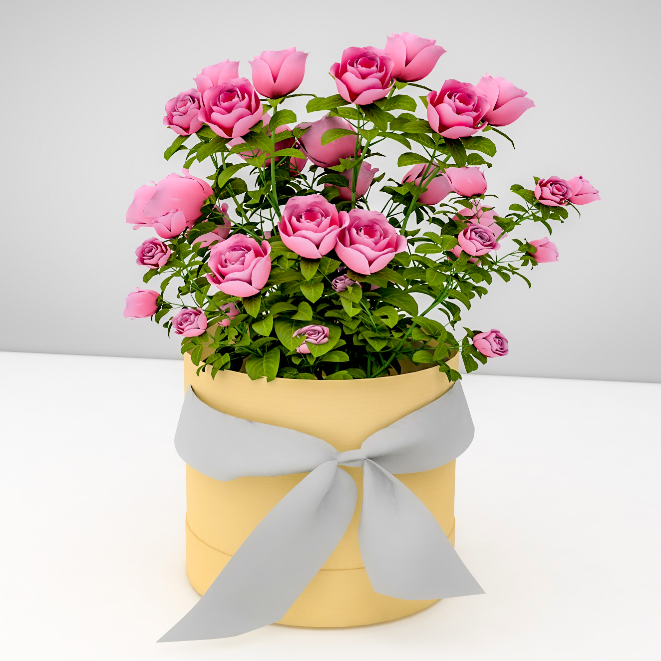 box around gift for flowers