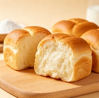 Poudre aromatisante au lait de haute pureté, arôme de lait concentré, additif alimentaire pour boulangerie, boissons, confiserie