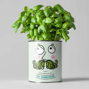 Kits de plantation en gros, pots personnalisés, kit de culture de plantes à <span class=keywords><strong>faire</strong></span> soi-même, kit de plantes d'intérieur, pot à herbes, cadeau de jardinage pour enfants - Product Image 6