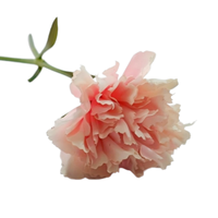 Fleurs artificielles de carnations, marguerites à tige unique, carnations en soie blanches, bordeaux, roses, fausses carnations pour la fête des mères, décoration de mariage