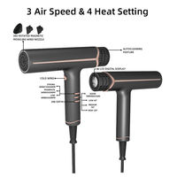 Sèche-Cheveux Professionnel 2200W Ionique Double Tension Fonction Air Froid Accessoire Magnétique pour Salon