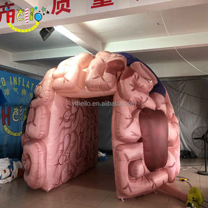 Les événements de soins de santé personnalisés traversent le <span class=keywords><strong>tunnel</strong></span> du cerveau Passage gonflable <span class=keywords><strong>pour</strong></span> l'éducation - Product Image 2