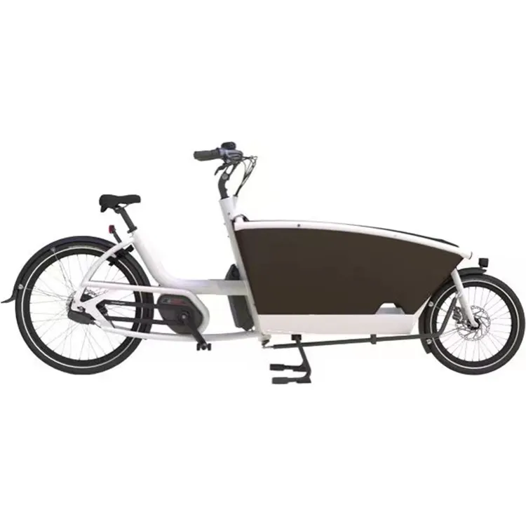 Самый популярный экологичный вид, оптовая цена, купить Электрический трехколесный велосипед на китайской фабрике, версия для взрослых, Электрический трехколесный велосипед