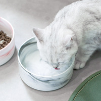 Échantillon gratuit, bol pour animaux de compagnie en céramique personnalisé de luxe en bois isolé avec marbre pour chat et chien