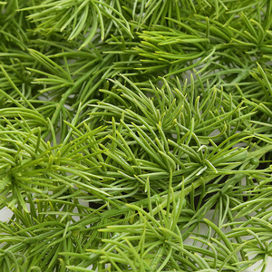 Décoration murale artificielle en aiguilles de pin, 82 cm, verte, pour plafond et accessoires de photographie - Product Image 4