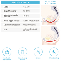 Chaise de stimulation musculaire du plancher pelvien non invasive post-partum, machine EMS en acier inoxydable pour salons de beauté, compatible Royaume-Uni et États-Unis