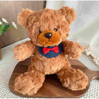 Ours en peluche personnalisés, design sur mesure, en peluche ultra douce, garnissage uniforme, densité 7-8 pouces, pour l'allée des jouets des supermarchés