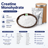 Approvisionnement direct usine : Poudre de créatine monohydrate 99 %, 200 mesh, CAS 6020-87-7, matière première pour suppléments nutritionnels sportifs