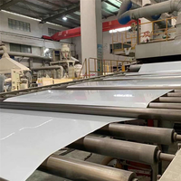 Prix d'usine, vente en gros de bande transporteuse en PP pour fumier de volaille, fabricant direct d'usine