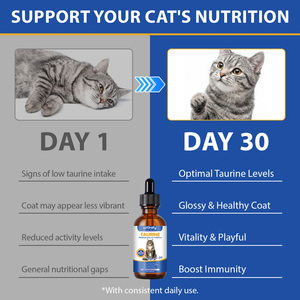 Worafy – Prix usine – Gouttes liquides de <span class=keywords><strong>taurine</strong></span> pour <span class=keywords><strong>chat</strong></span> – Nutrition, acides aminés, vitalité musculaire, vision – Compléments de soins pour la santé des chats - Product Image 4