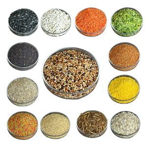 All'ingrosso pappagallo ad alto contenuto proteico cibo misto specializzato piccoli pappagalli cibo per uccelli con vermi della farina - Product Image 4