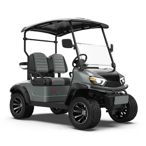 72v Lithium Battery Motorized Electric Golf Buggy 2 Seater 5kw Fast Off Road Electric Golf Cart