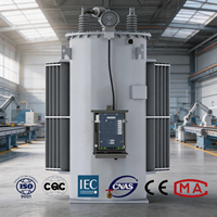Régulateur de tension monophasé SVR personnalisable OEM ODM, 2,5 kV à 35 kV, 50 kVA à 2500 kVA, type huile
