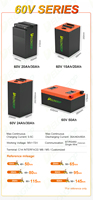 60V 30Ah Sealed LiFePO4 Battery Budget Friendly Rapid Charging Built in BMS for High Speed Electric Motorcycle Daily Commuting