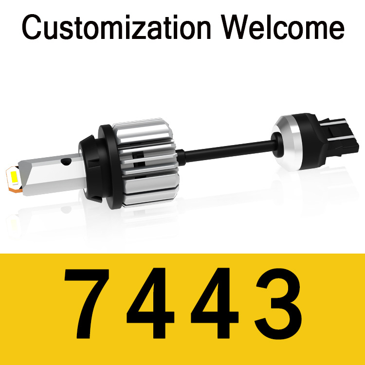 GR 7443