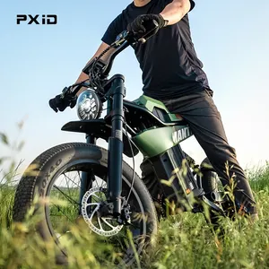 PXID Wholesale 750W 1200W 48V Super POWER Motor 20 Inch Fat Tire E-bike Full Suspension Electric Hybrid Bike