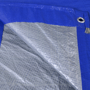 Telo in Polietilene Personalizzato Cinese / Fornitori di Teloni Impermeabili in Plastica PE a Prezzi Competitivi - Product Image 3