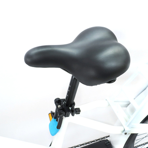 Bicicleta Eléctrica de Tres Ruedas de 20 Pulgadas con Marco de Aleación y Batería de Litio Grande de 48V/500W, Color Azul, Venta Caliente de Fábrica - Product Image 4