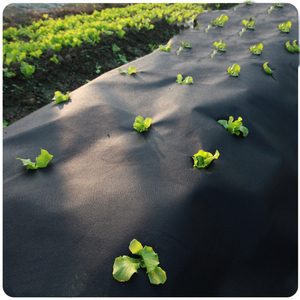 KOSITE PP Spun-Bonded Non-Woven Fabric 15-220gsm Medium Weight For Agriculture Garden Home Textile - Product Image 5