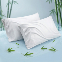 Ensemble de taies d'oreiller en rayonne de bambou rafraîchissante, respirantes et absorbant l'humidité pour les personnes ayant chaud la nuit, personnalisables OEM, vente en gros