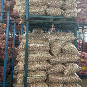 Las más nuevas semillas de <span class=keywords><strong>ajo</strong></span> púrpura blanco fresco verduras verdes originarias de China <span class=keywords><strong>ajo</strong></span> blanco Normal uso de alimentos calientes - Product Image 6