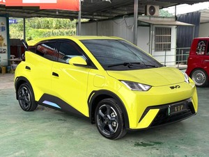 BYD 2024 modèle Haidou Honor Edition avec une portée de 305km et une édition gratuite - Product Image 4