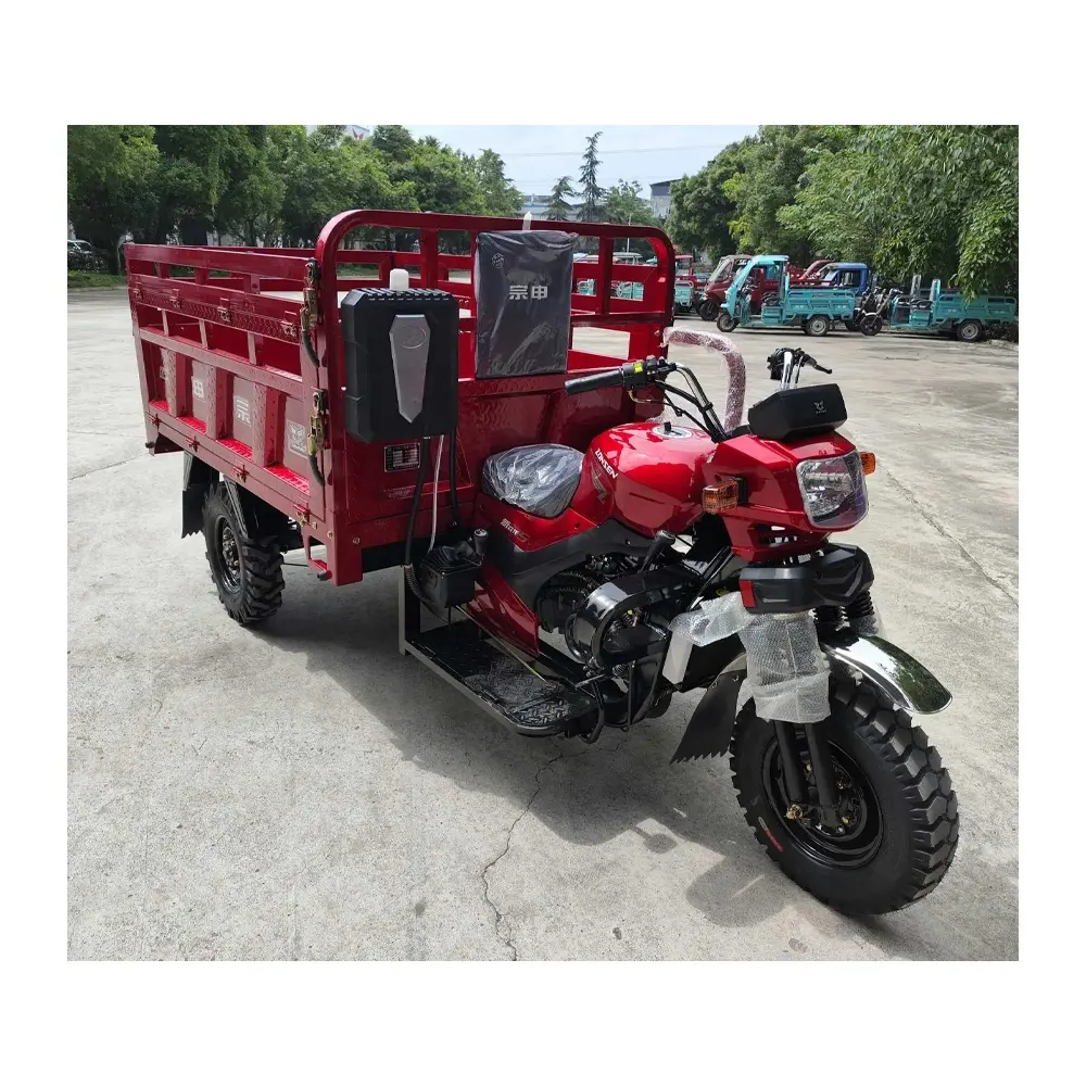 Tricycle motorisé à essence à 3 roues et bon marché pour adultes