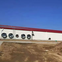 Structure de poulailler préfabriquée haute résistance, résistante au vent, en acier galvanisé, pour la construction de bâtiments d'élevage avicole, marque JIEKE