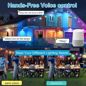 Tuya ứng dụng kiểm soát RGB Festoon chuỗi đèn lâu dài ngoài trời không thấm nước LED Patio đèn cổng USB từ xa cho Giáng sinh - Product Image 4