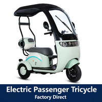 Tricycle électrique pour adultes, moteur sans balais, cadre en acier haute teneur en carbone, batterie 60V 1500Wh, 3 roues, freins à disque, 60 km d'autonomie